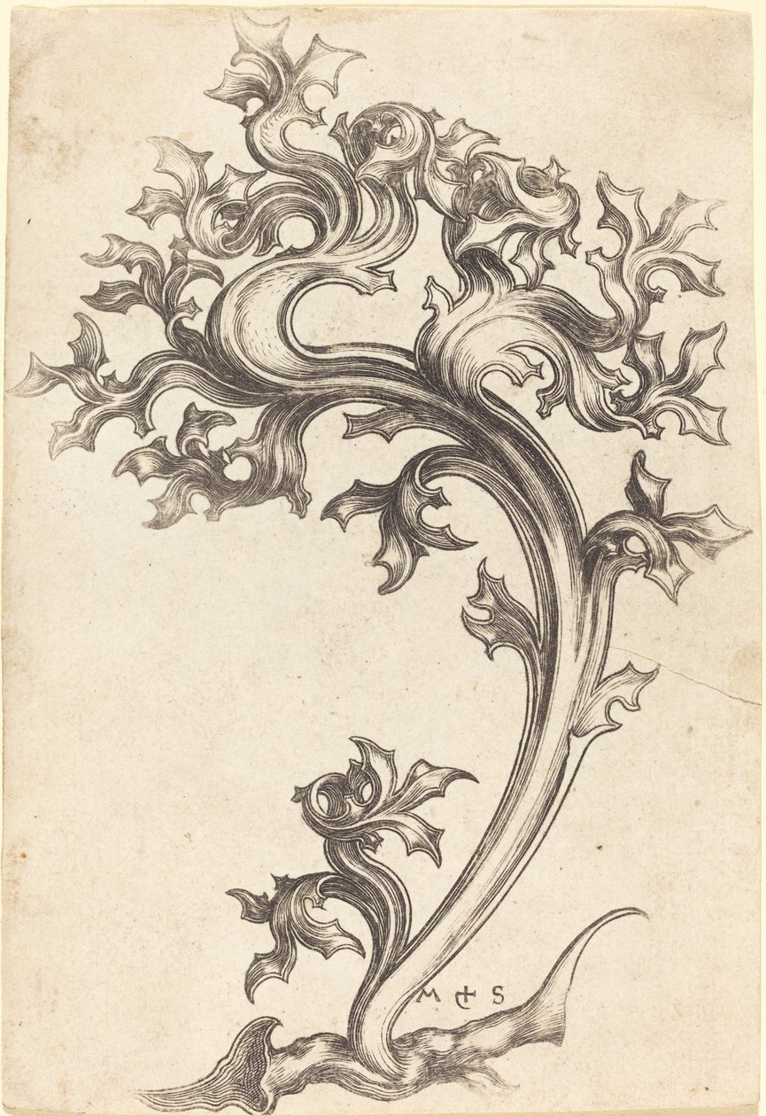 Ozdoba z ostu autorstwa Martin Schongauer
