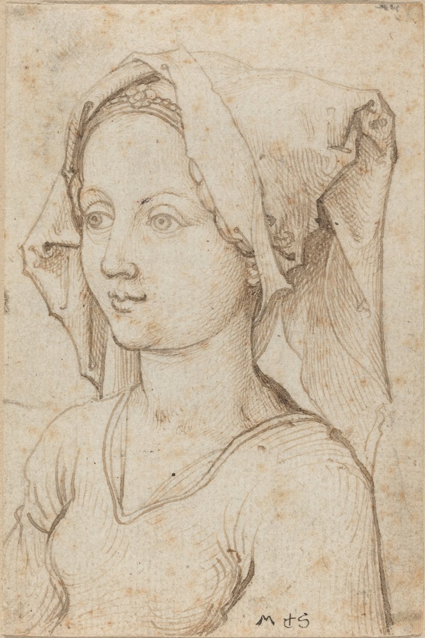 Młoda kobieta w szaliku autorstwa Martin Schongauer
