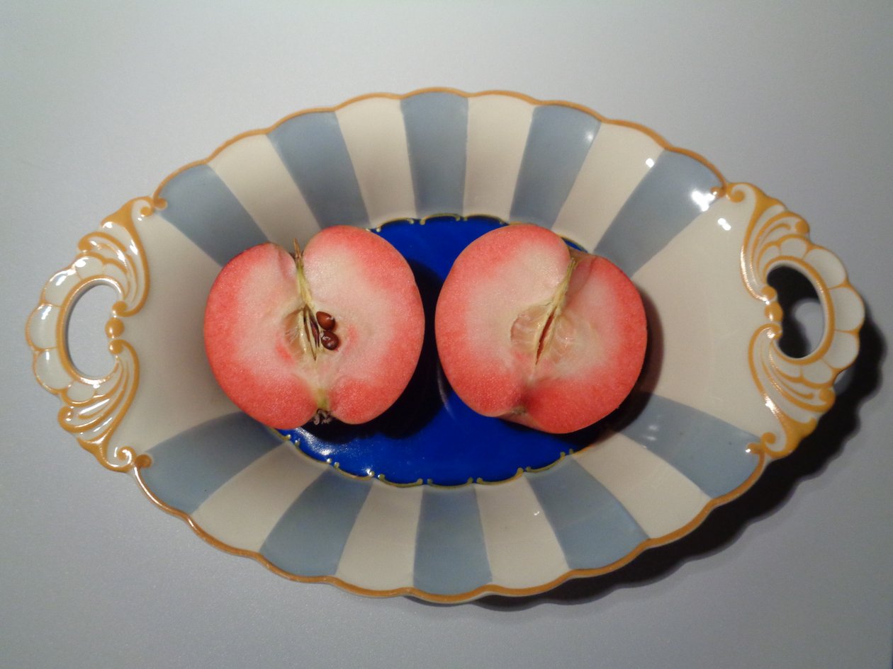 Porcelana z uprzywilejowanej królewskiej fabryki porcelany Tettau z czerwonym jabłkiem autorstwa Martina Konitzky