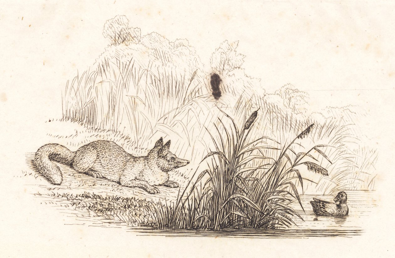 Ilustracja do „Pół setki bajek dla dzieci” autorstwa Hey autorstwa Martinus Rørbye