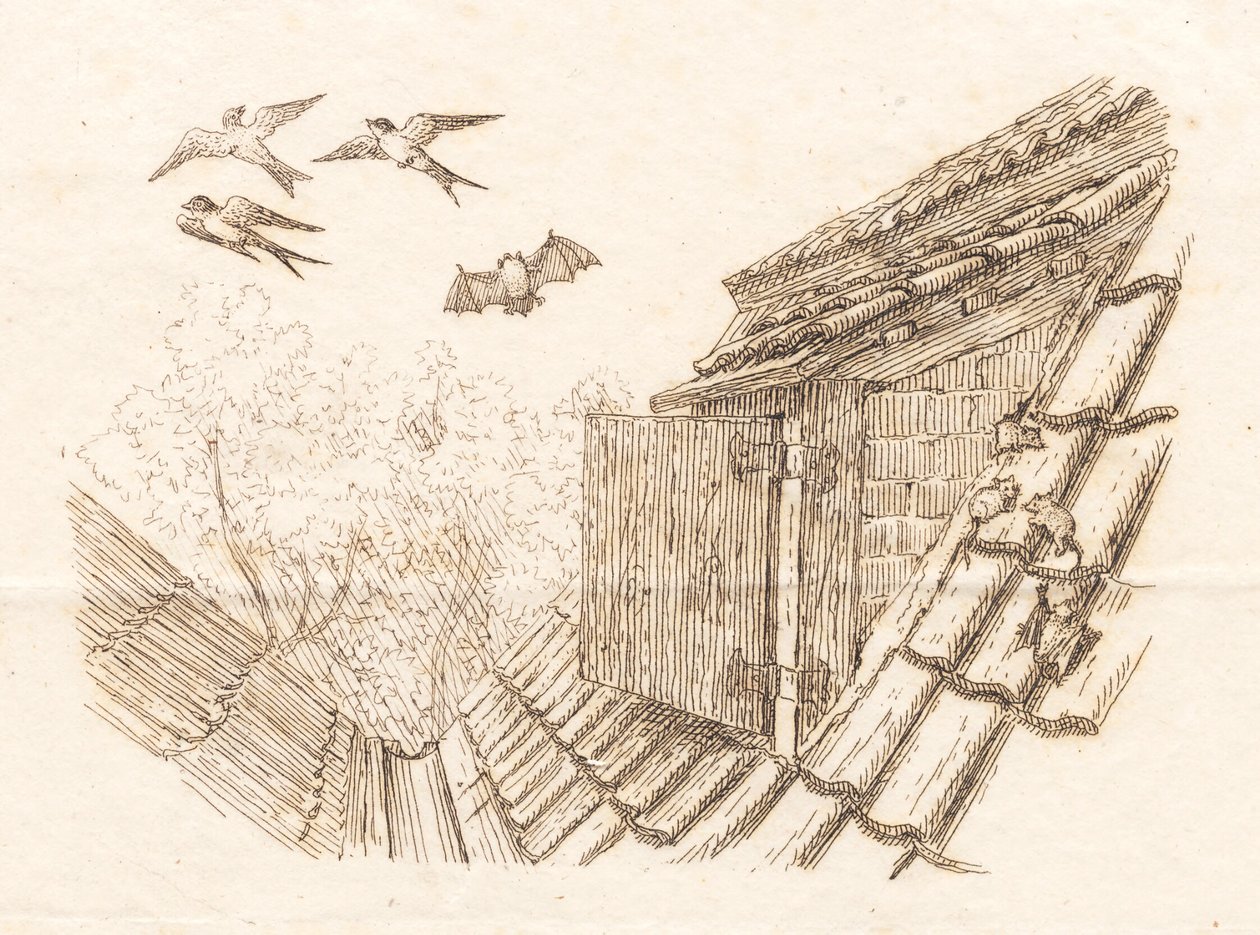 Ilustracja do „Pół setki bajek dla dzieci” autorstwa Hey autorstwa Martinus Rørbye