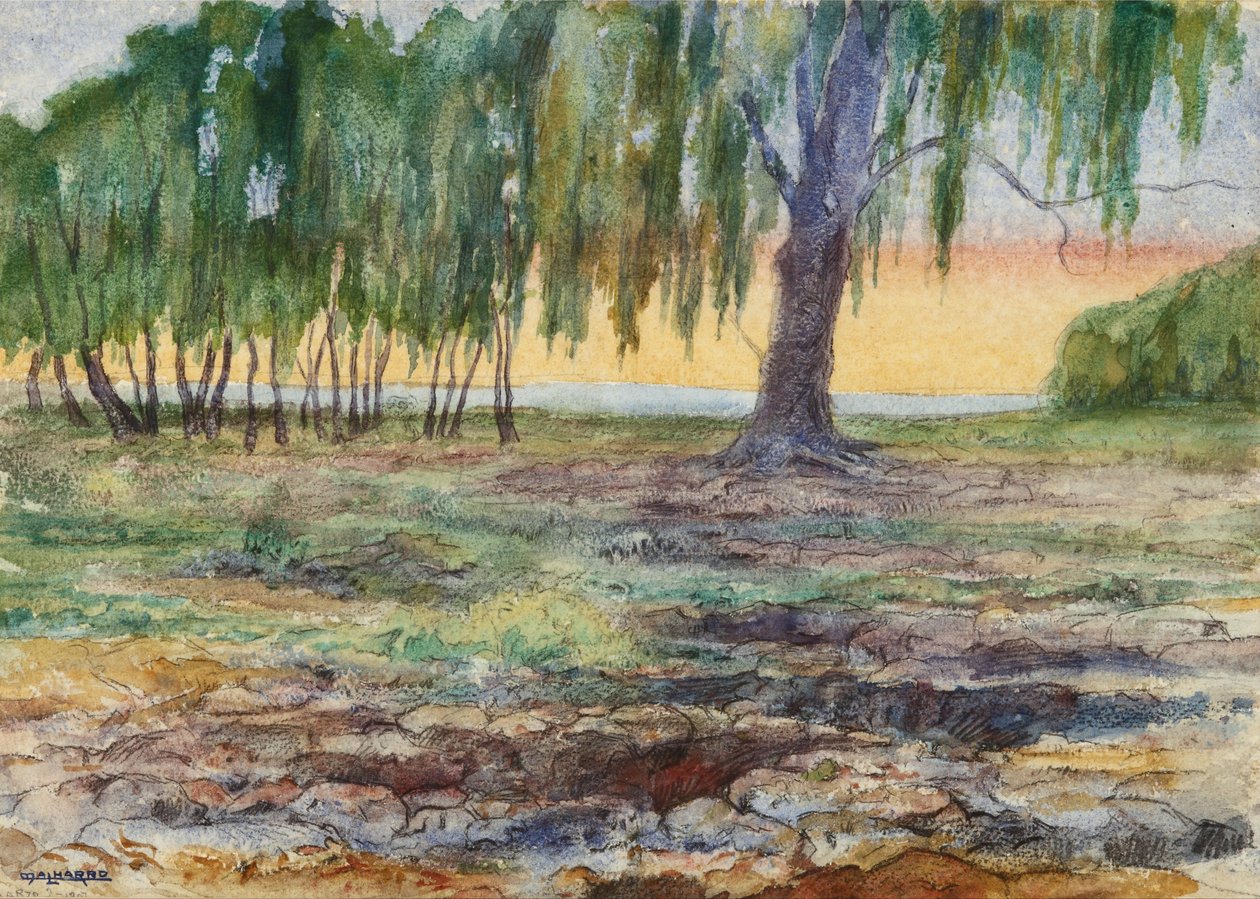 Sceneria autorstwa Martín Malharro