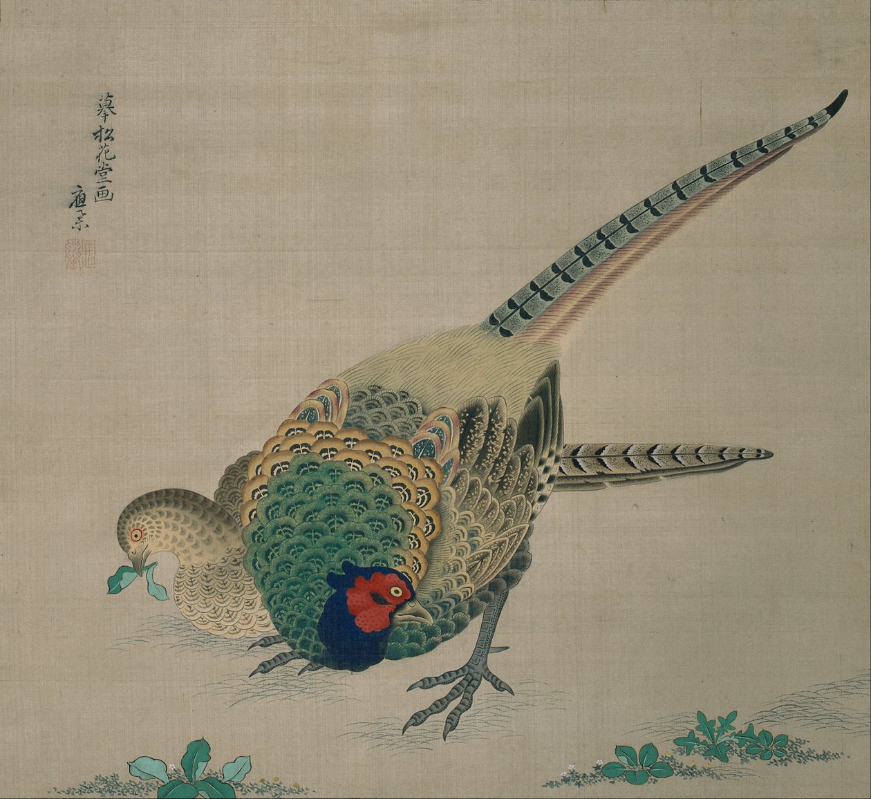 Zwój wiszący (para bażantów) autorstwa Maruyama Okyo