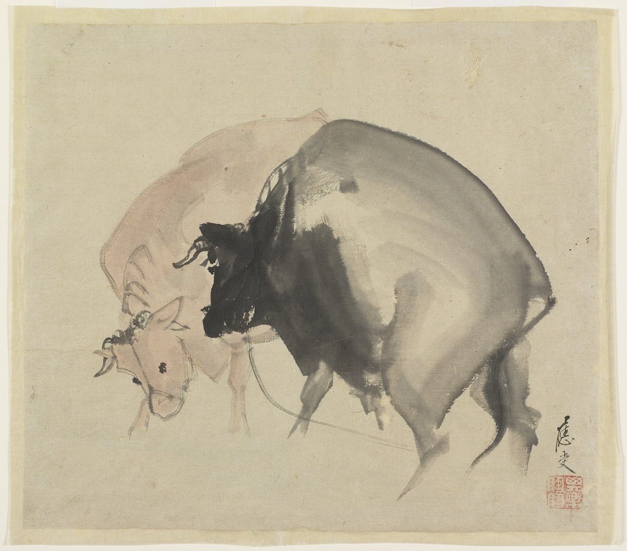 Dwa byki, ok. 1810 (atrament i kolory na papierze) autorstwa Maruyama Oju