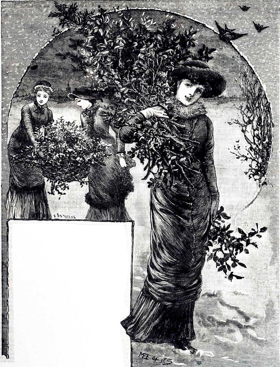 Grawer przedstawiający kolekcję ostrokrzewów i zimozielonych do dekoracji świątecznych. Ilustrowana przez Mary Ellen Edwards (1838-1934) angielską artystkę i ilustratorkę książek dla dzieci autorstwa Mary Ellen Edwards