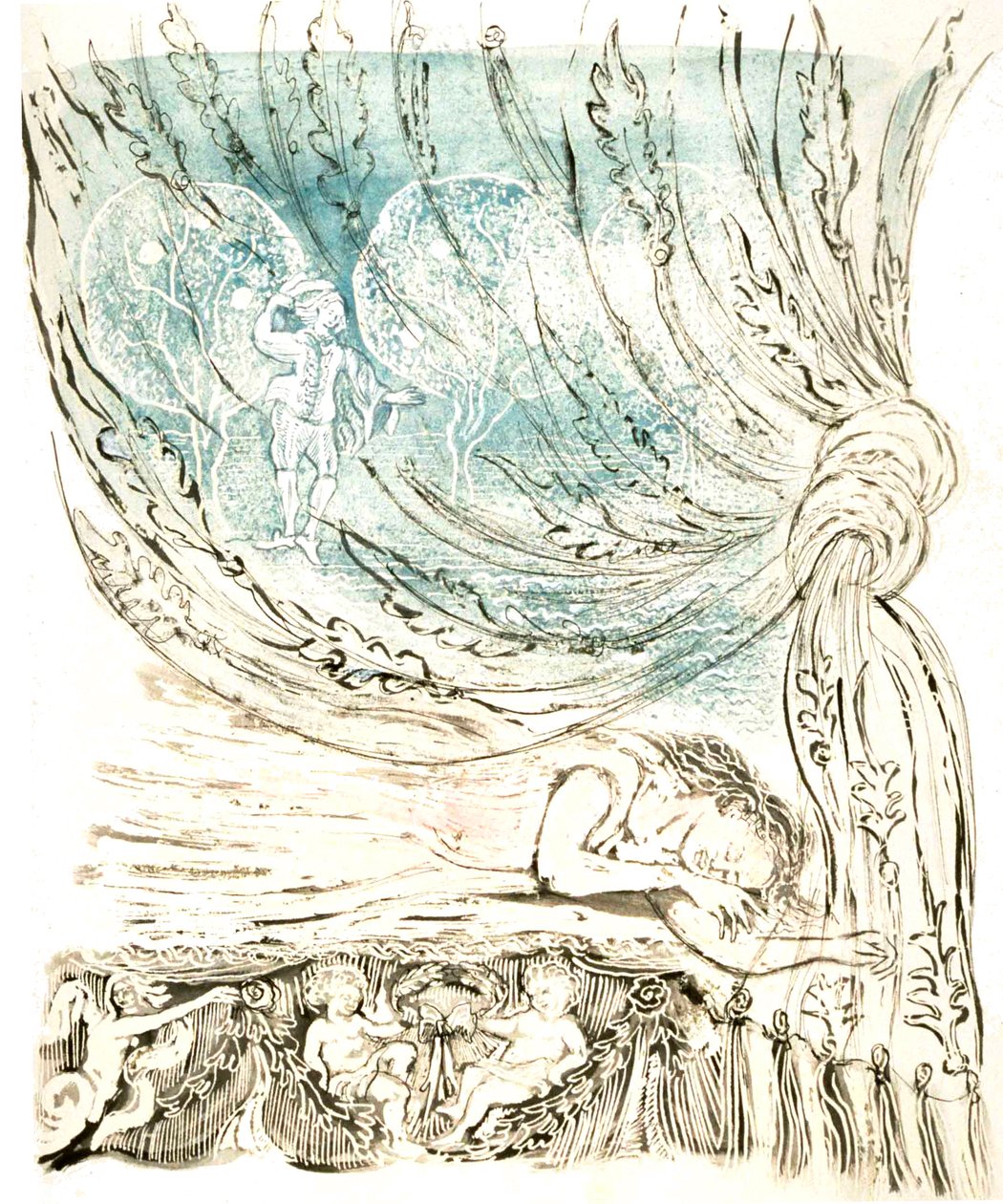 Śnienie piękna, 2004 (pióro i tusz akrylowy) autorstwa Mary Kuper
