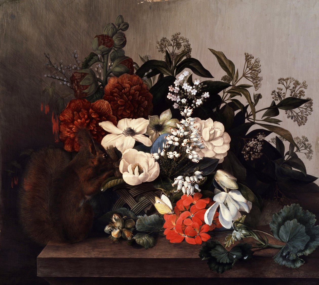 Martwa natura z wiewiórką i pelargoniami. Obraz autorstwa Mary Lawrence (ur. w XVIII w.) Kolekcja prywatna. autorstwa Mary Lawrence