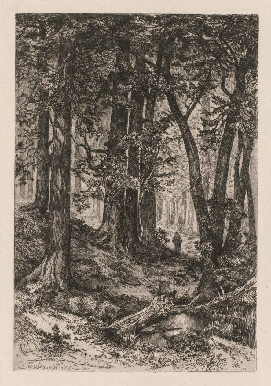 Wnętrze lasu kalifornijskiego według Thomasa Morana American, 1837-1926, 1888. autorstwa Mary Nimmo Moran