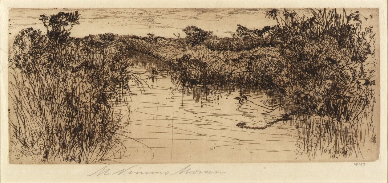 Meadowland autorstwa Mary Nimmo Moran