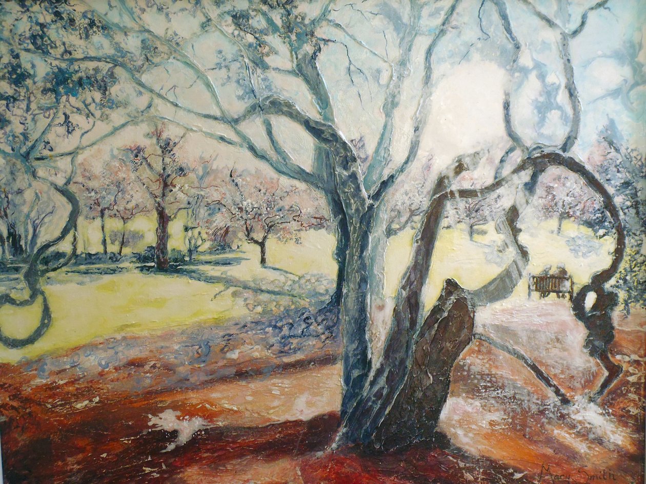 Wiosna w Darley Park autorstwa Mary Smith