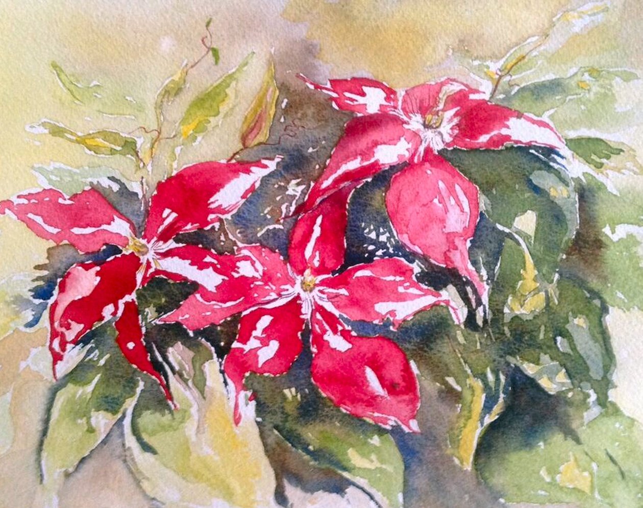 powojnik bordowy autorstwa Mary Smith