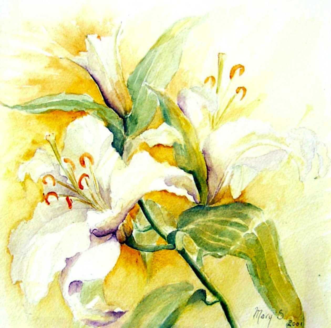 białe lilie autorstwa Mary Smith