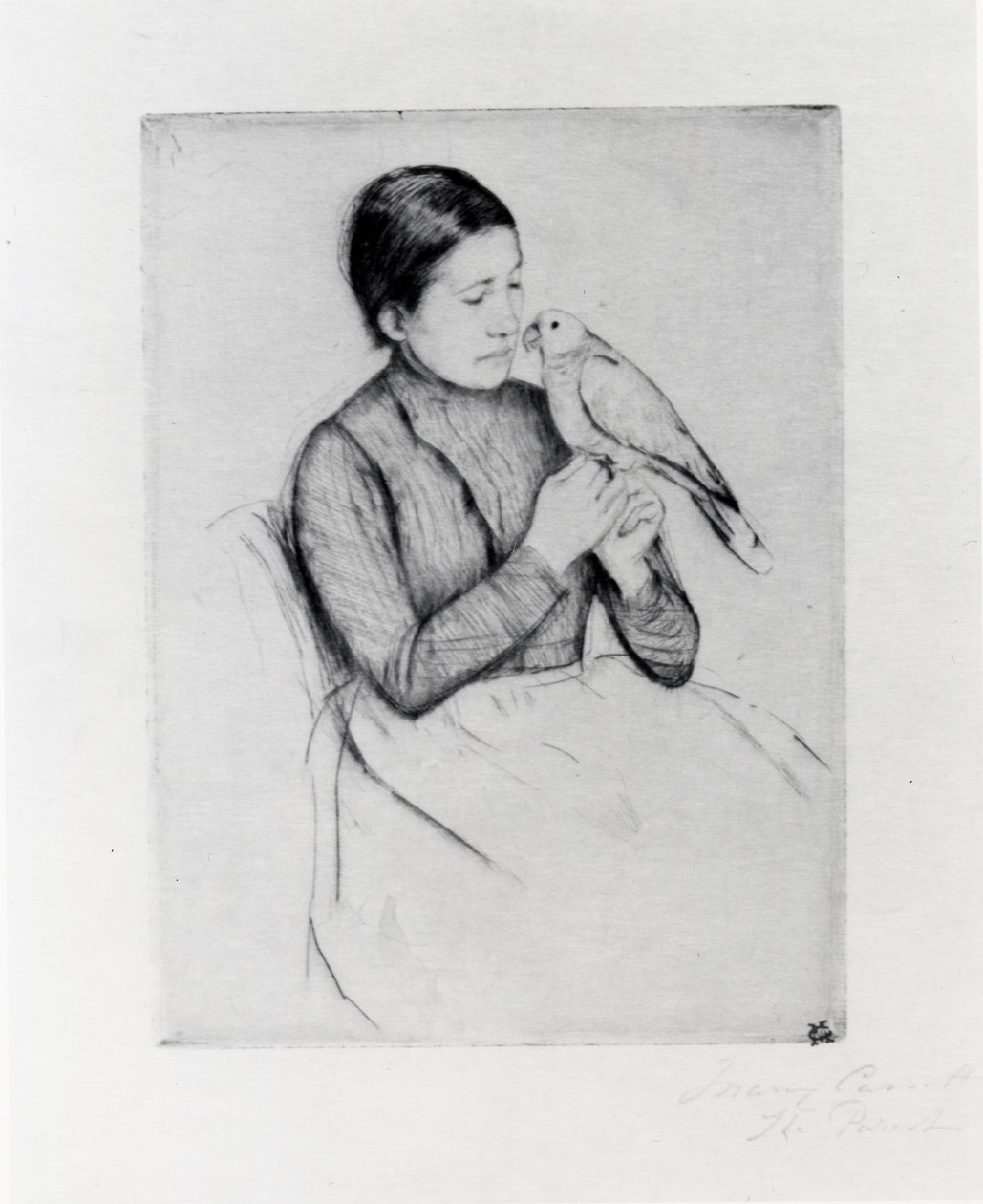 Papuga autorstwa Mary Stevenson Cassatt