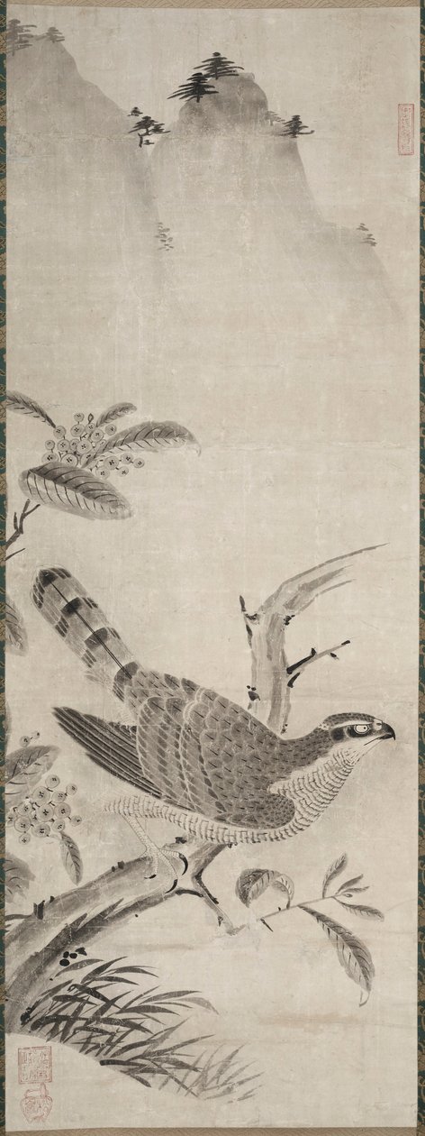 Jastrząb, połowa 1500 roku. autorstwa Masayoshi Fujiwara