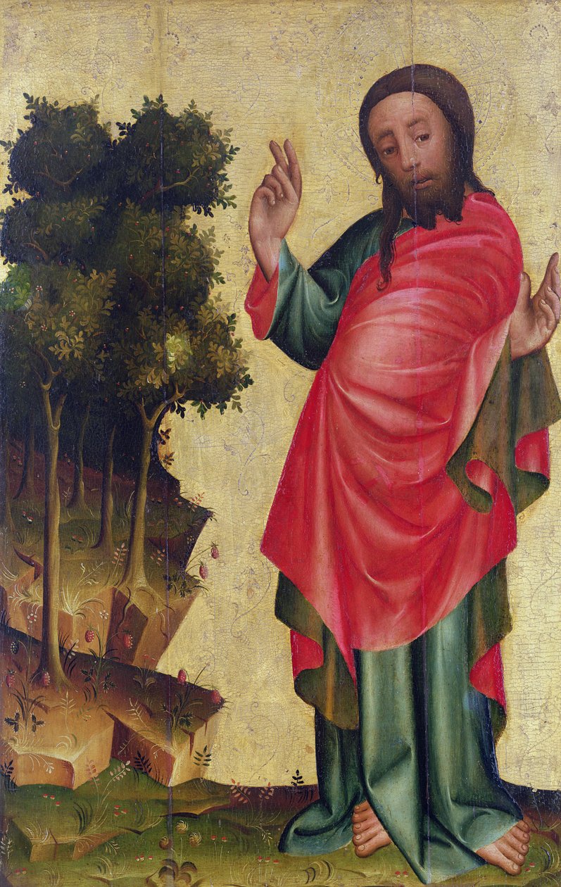 Stworzenie suchego lądu i roślinności, fragment z Ołtarza Grabowa, 1379-83 (tempera na panelu) autorstwa Master Bertram of Minden