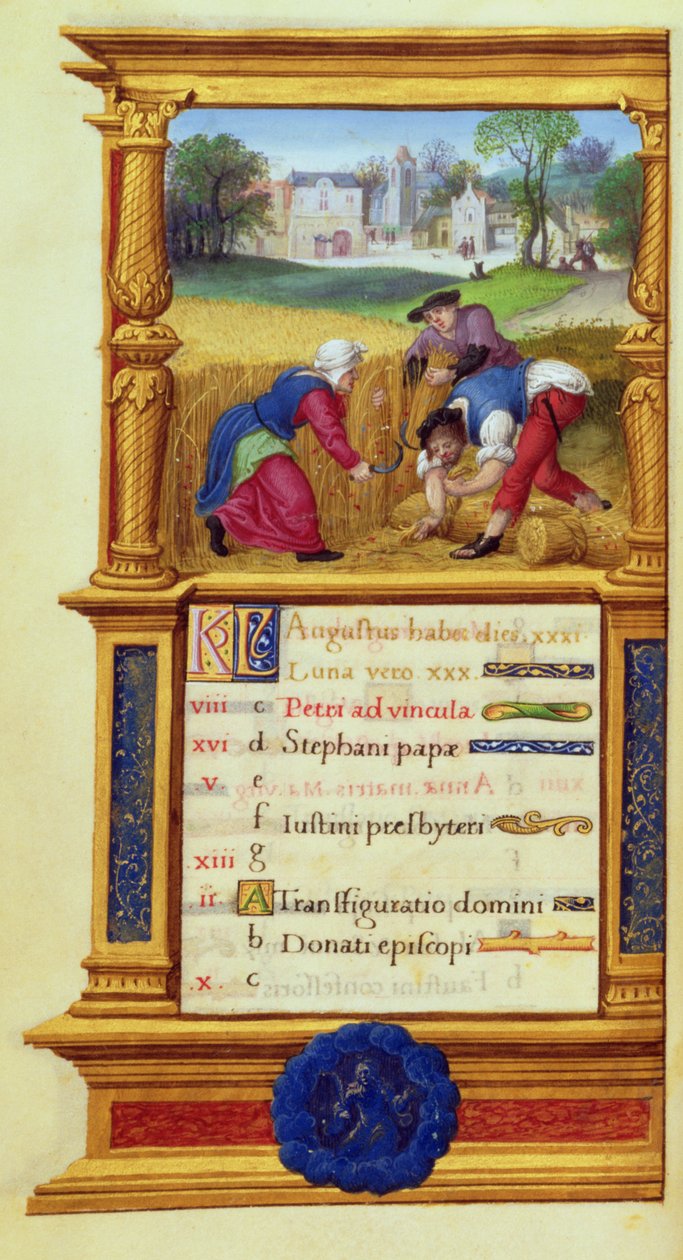 MS W.449 fol.9v Sierpniowe żniwa pszenicy, c.1525 autorstwa Master Jean de Mauleon