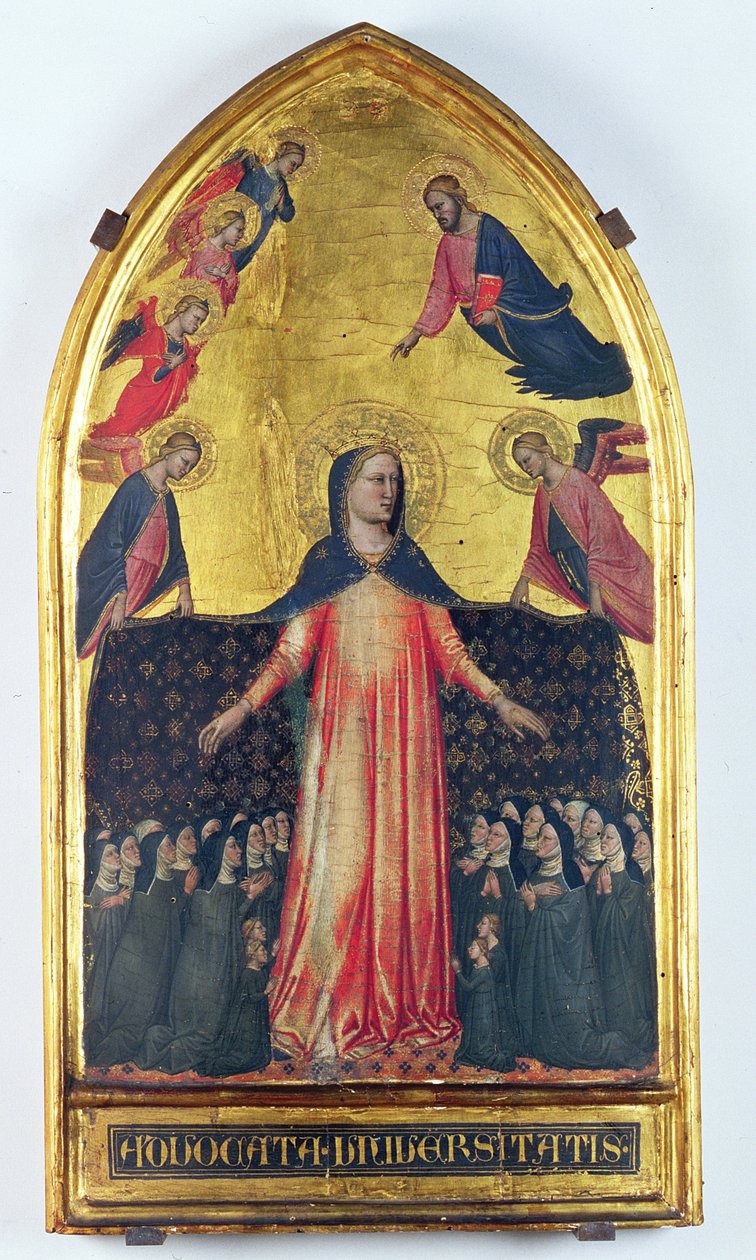 Madonna Miłosierdzia (tempera na panelu) autorstwa Master of the Accademia Madonna