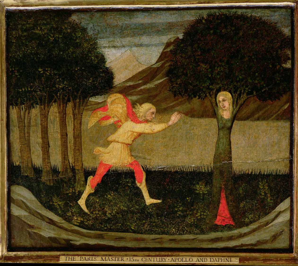 Metamorfoza Dafne (tempera na płycie) (zob. też 90395) autorstwa Master of the Judgement of Paris
