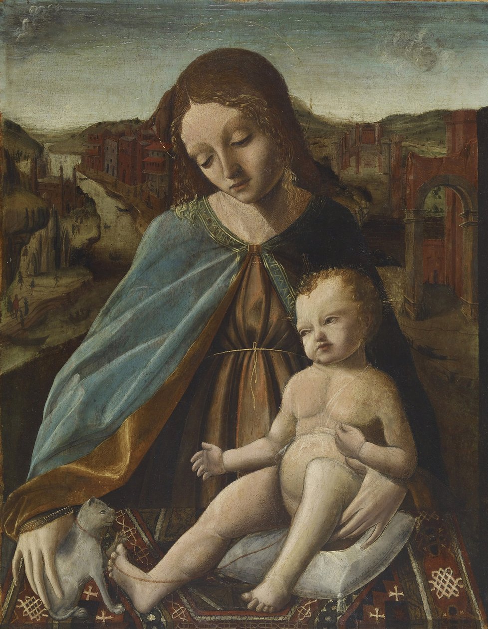 Madonna z Dzieciątkiem z Kotem, 1485-95 autorstwa Master of the Pala Sforzesca