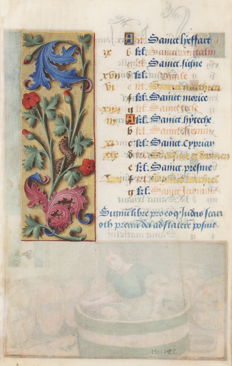 MS Lewis EM 11:22v Panel kwiatowy z akantem, różowym i gąsienicowym, z Godzin Ludwika XII, 1498-99 (tempera i złoto na pergaminie) autorstwa Master Claude de France