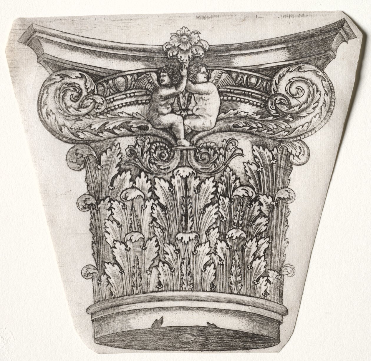 Baza i kapitał z Putti, c.1525-1550. autorstwa Master G. A. with the man