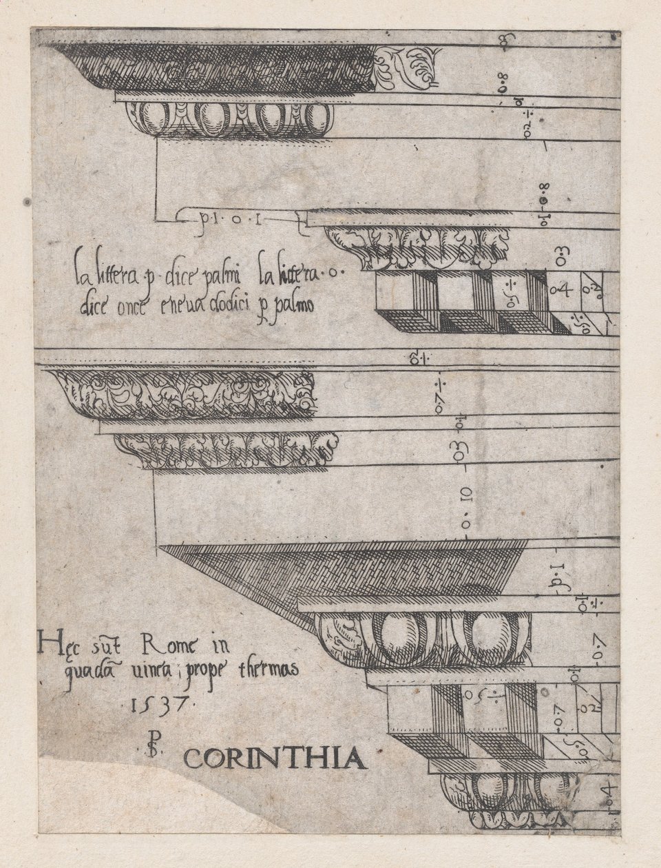 Lustro rzymskiej świetności: belkowanie korynckie, 1537., 1537. autorstwa Master PS