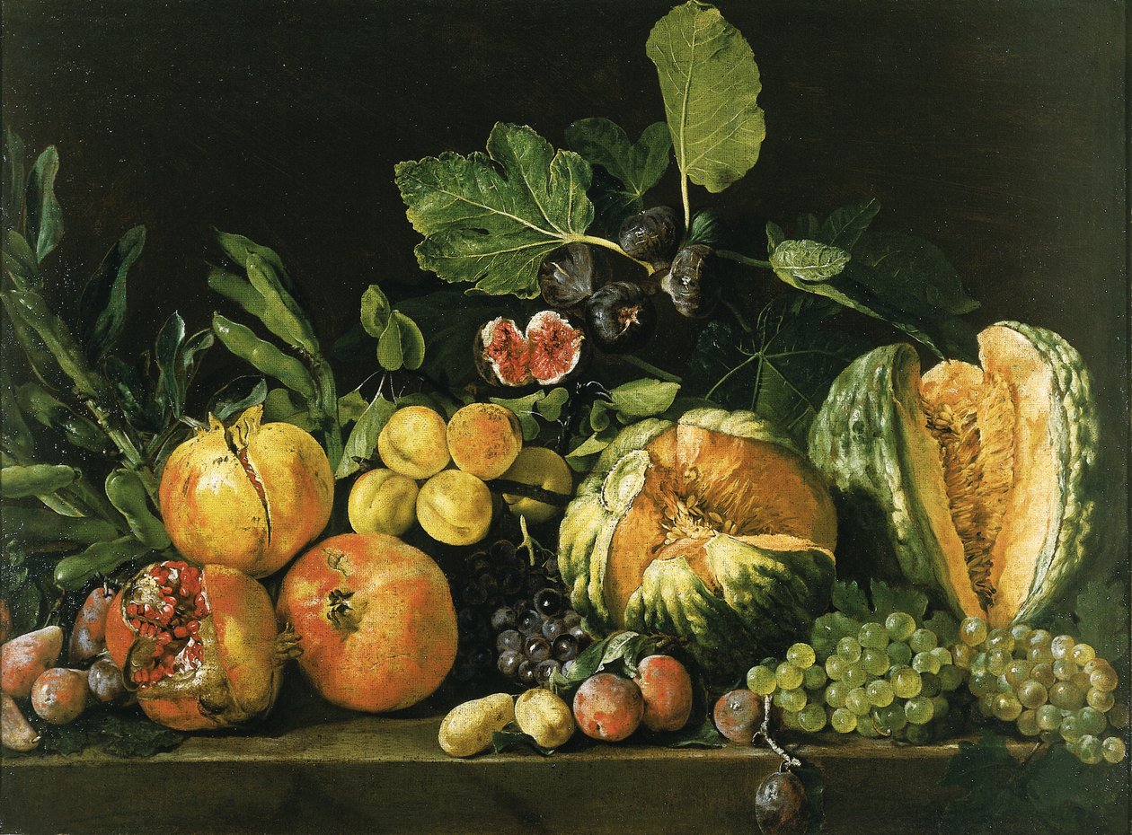 Granaty, melony, winogrona, brzoskwinie, figi i inne owoce na kamiennej półce autorstwa Master of the Acquavella Still Life