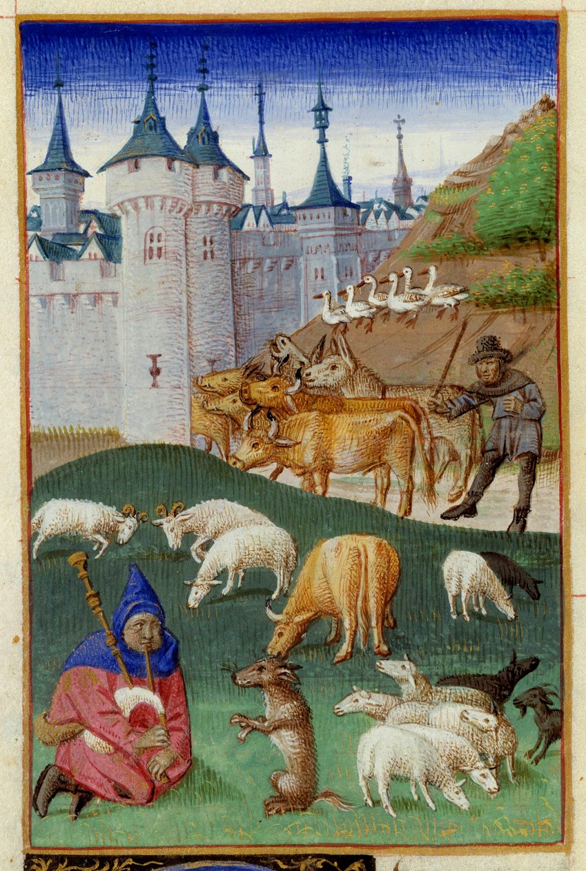 Zwierzęta hodowlane i grający na dudach Miniatura zaczerpnięta z „The Rustican or Book of Country and Rural Profit” Pietro de Crescenzi (Crescent Stone lub Crescens Stone) (1233-1320) ogłoszona przez Mistrza Boccace z Genewy zwanego Colin d