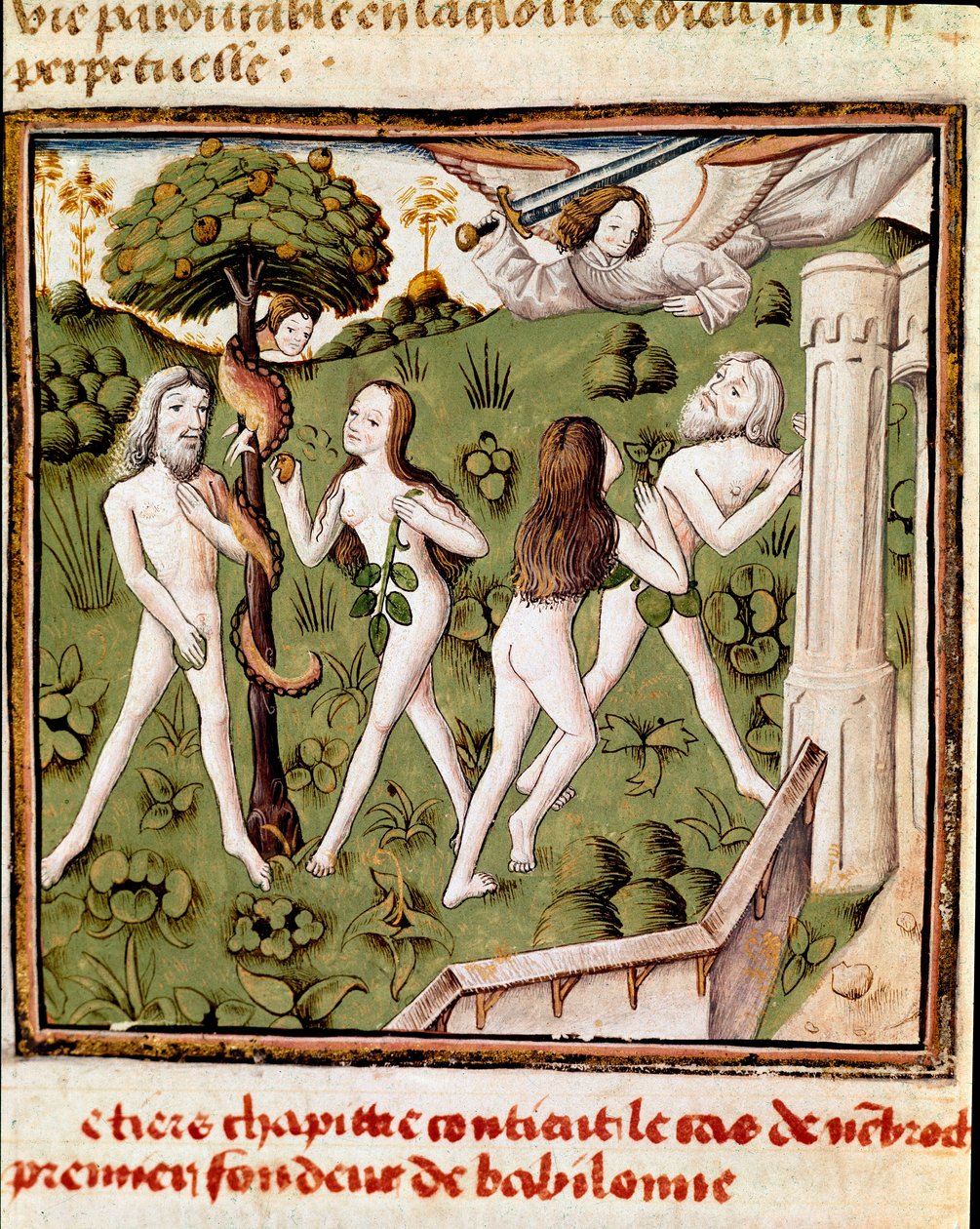 Adam i Ewa zbierają obroniony owoc Miniatura Mistrza Czempionki Dam (XV w.) z rękopisu „Des hommes illustres” Giovanniego Boccaccio (Jeana Boccaccio) (1313-1375). XV wiek. Stolarz. Biblioteka Inguimbertine autorstwa Master of the Champion des Dames