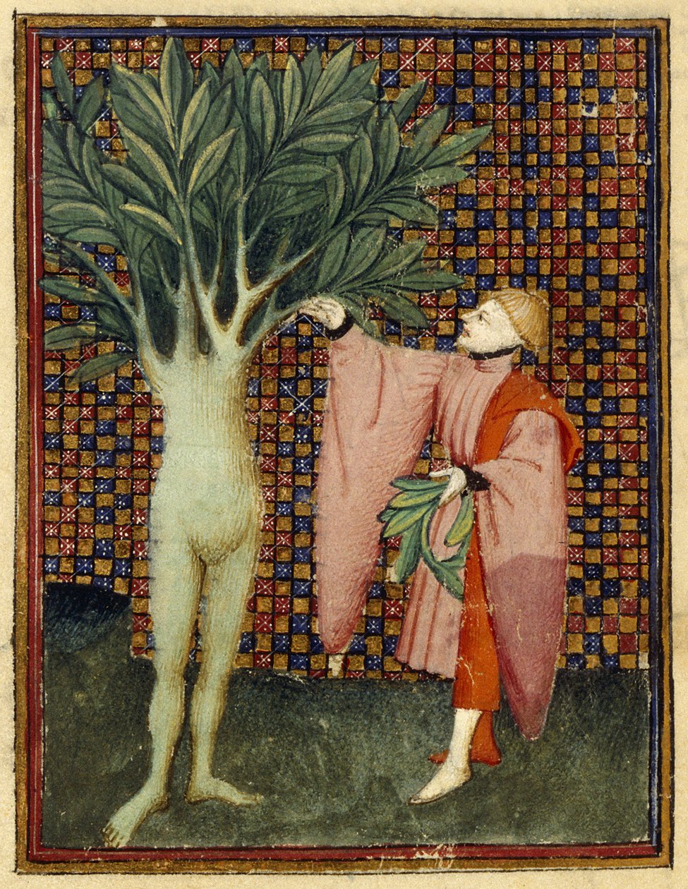 Apollo i Daphne autorstwa Master of the Cité des Dames