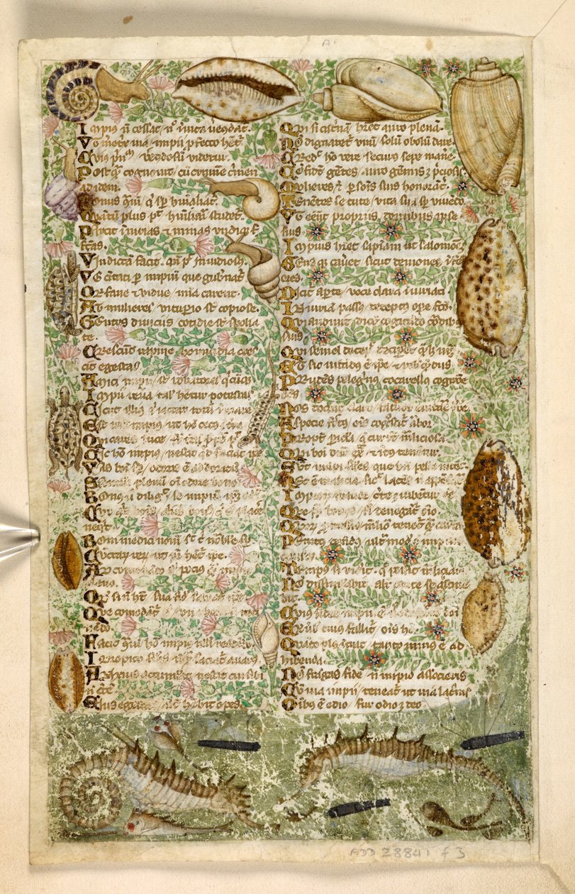 Dodać. 28841, f.3v: Koniki morskie, ślimaki i muszle, z traktatu o cnotach i wadach oraz anonimowa historia prozy Sycylii (fragment), ok. 1330-40 (welum) autorstwa Master of the Cocharelli Codex