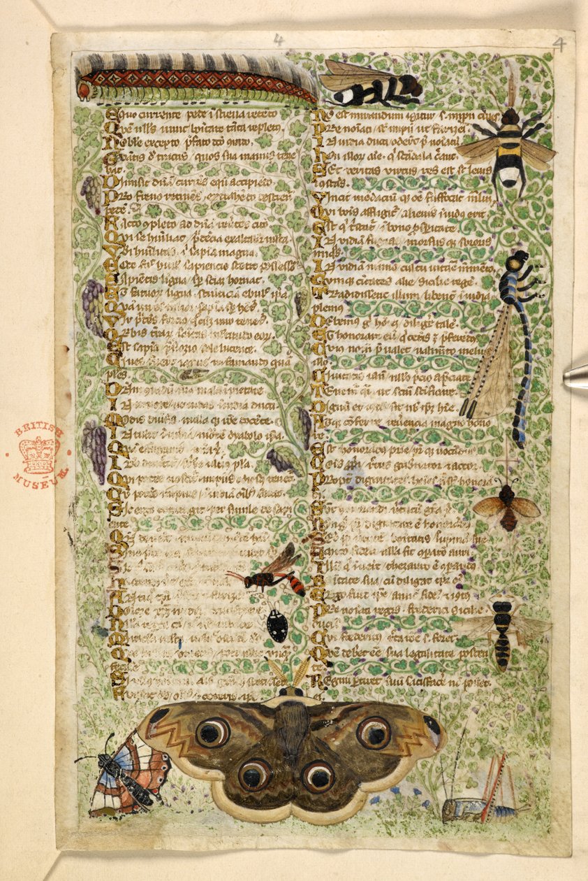 Dodać. 28841, f.4: Osy, ćmy, ważki i gąsienica, z traktatu o cnotach i wadach oraz anonimowa historia prozy Sycylii (fragment), ok. 1330-40 (welum) autorstwa Master of the Cocharelli Codex