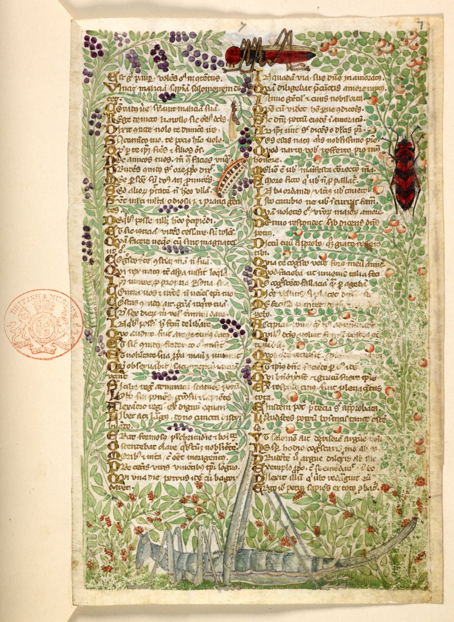 Dodać. 28841, f.7, Kwiaty, owoce i owady, w tym konik polny i szarańcza, z traktatu o cnotach i wadach oraz anonimowa historia prozy Sycylii (fragment) autorstwa Master of the Cocharelli Codex