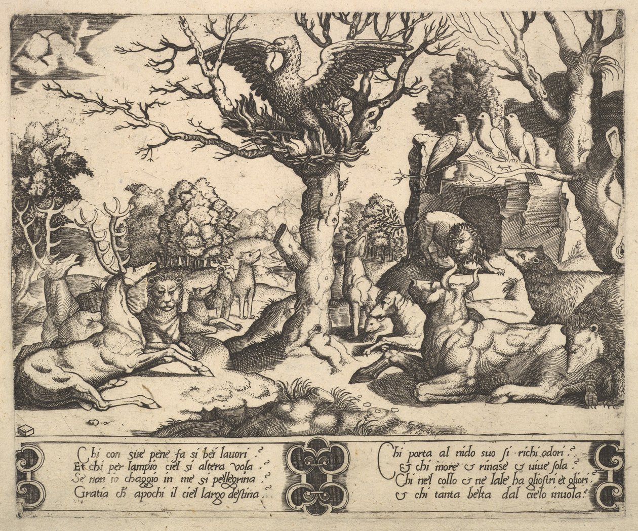 Na drzewie siedział feniks z rozłożonymi skrzydłami, poniżej kilka zwierząt, 1530-60. autorstwa Master of the Die