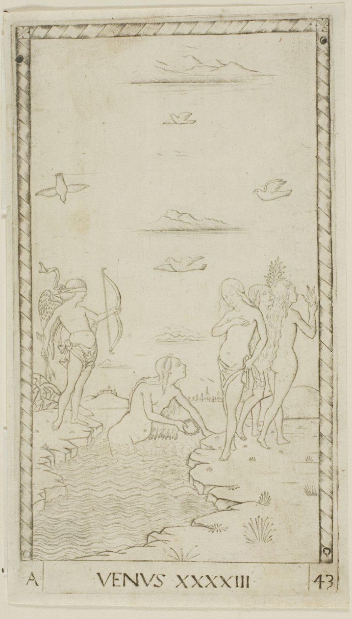 Wenus, płyta 43 z Planets and Spheres autorstwa Master of the E Series Tarocchi