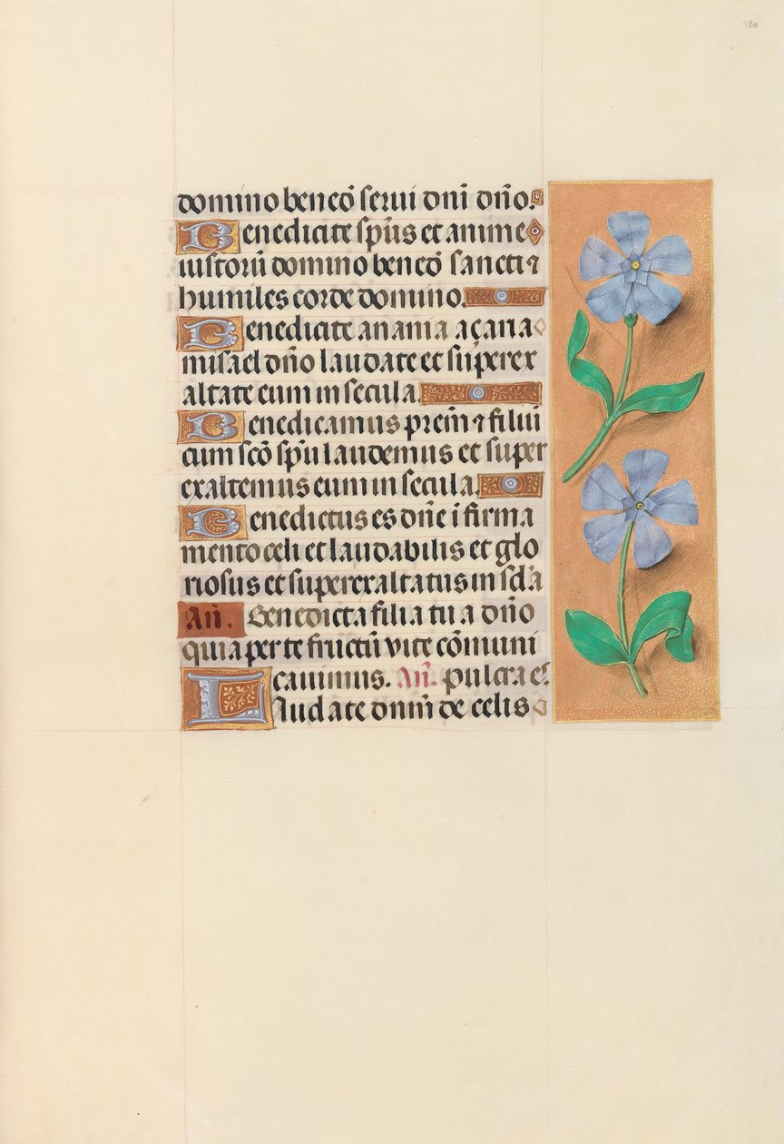 Godziny królowej Izabeli Katolickiej, królowej Hiszpanii: Fol. 120r, ok. 1500. autorstwa Master of the First Prayerbook of Maximillian