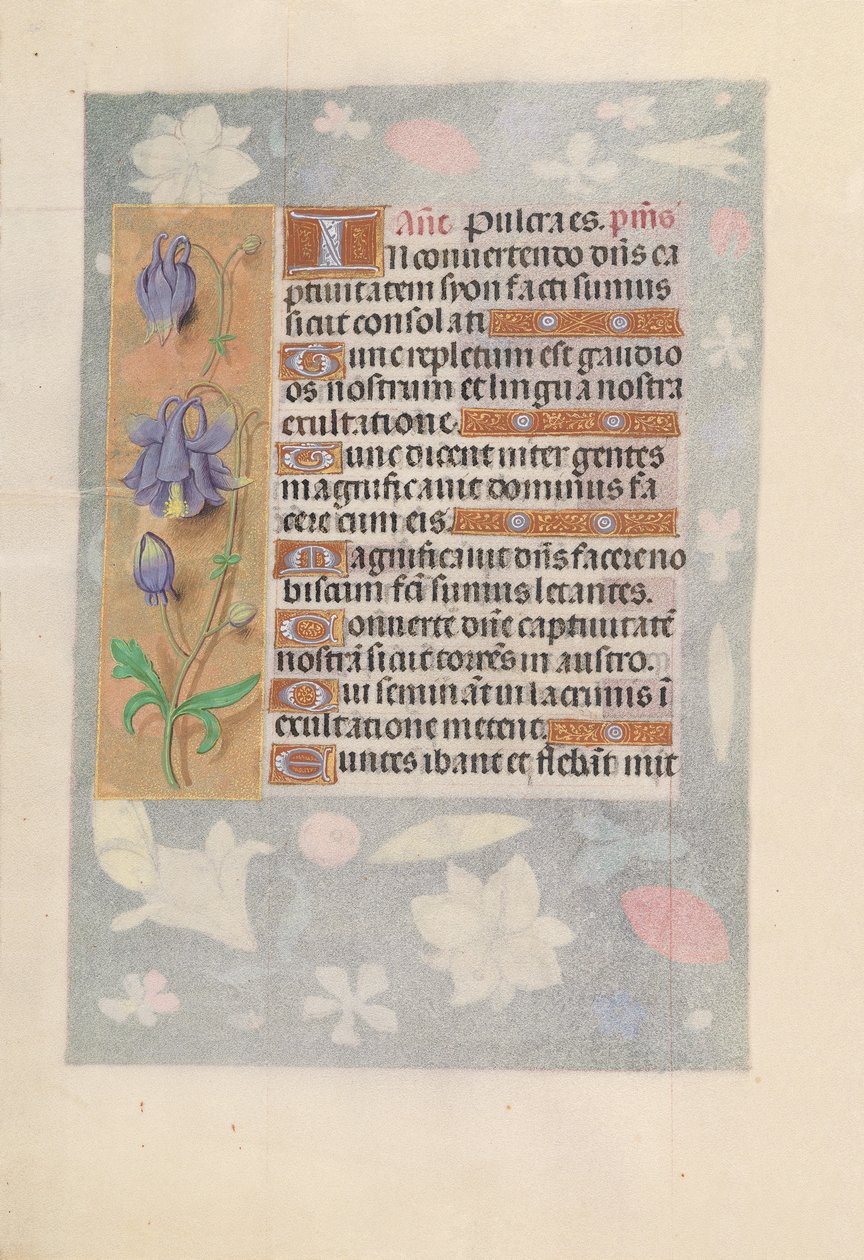 Godziny królowej Izabeli Katolickiej, królowej Hiszpanii: Fol. 142v, ok. 1500. autorstwa Master of the First Prayerbook of Maximillian