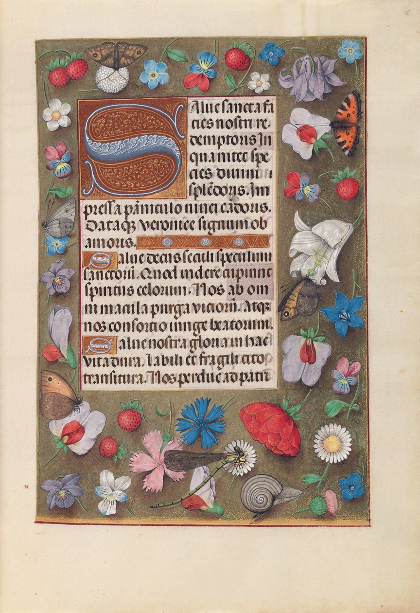 Godziny królowej Izabeli Katolickiej, królowej Hiszpanii: Fol. 15r, ok. 1500. autorstwa Master of the First Prayerbook of Maximillian