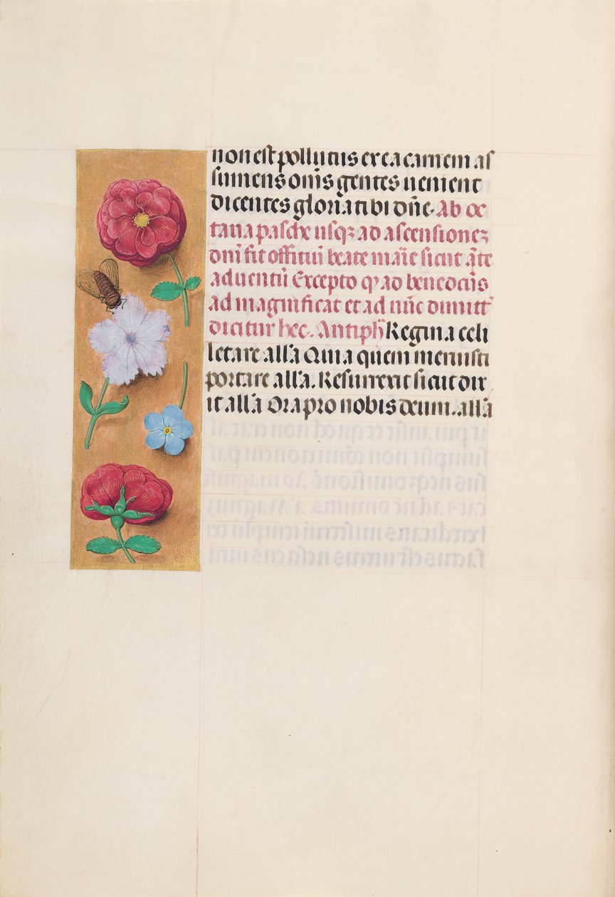 Godziny królowej Izabeli Katolickiej, królowej Hiszpanii: Fol. 166v, ok. 1500. autorstwa Master of the First Prayerbook of Maximillian