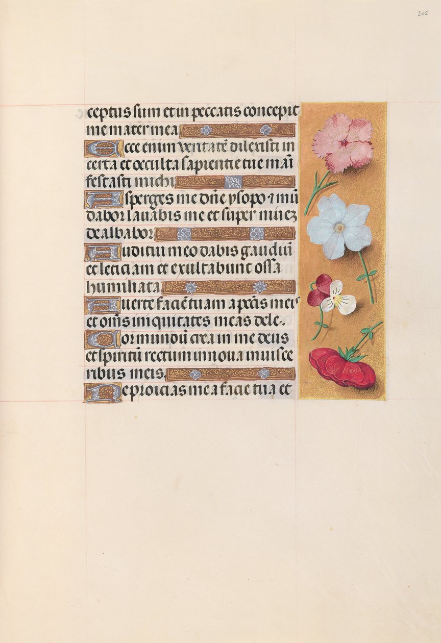 Godziny królowej Izabeli Katolickiej, królowej Hiszpanii: Fol. 205r, ok. 1500. autorstwa Master of the First Prayerbook of Maximillian