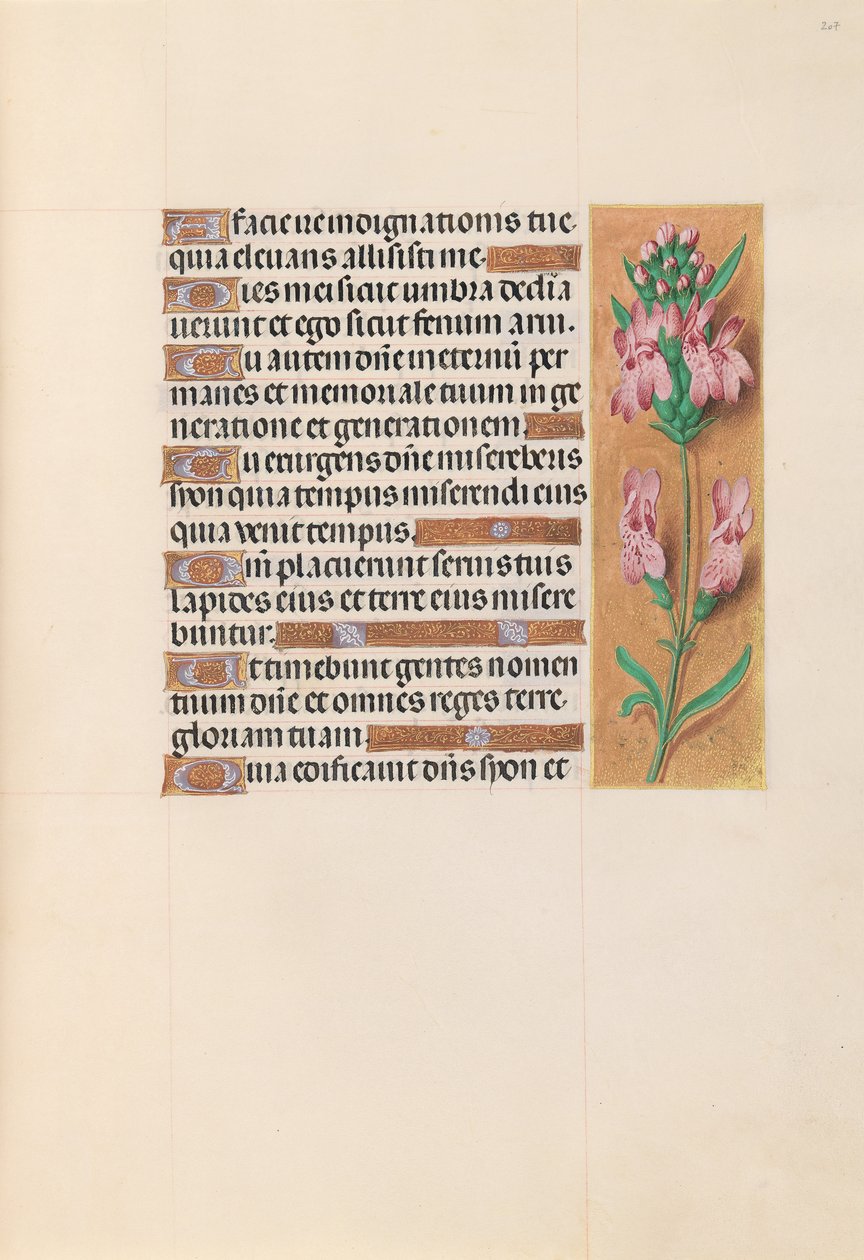 Godziny królowej Izabeli Katolickiej, królowej Hiszpanii: Fol. 207r, ok. 1500. autorstwa Master of the First Prayerbook of Maximillian