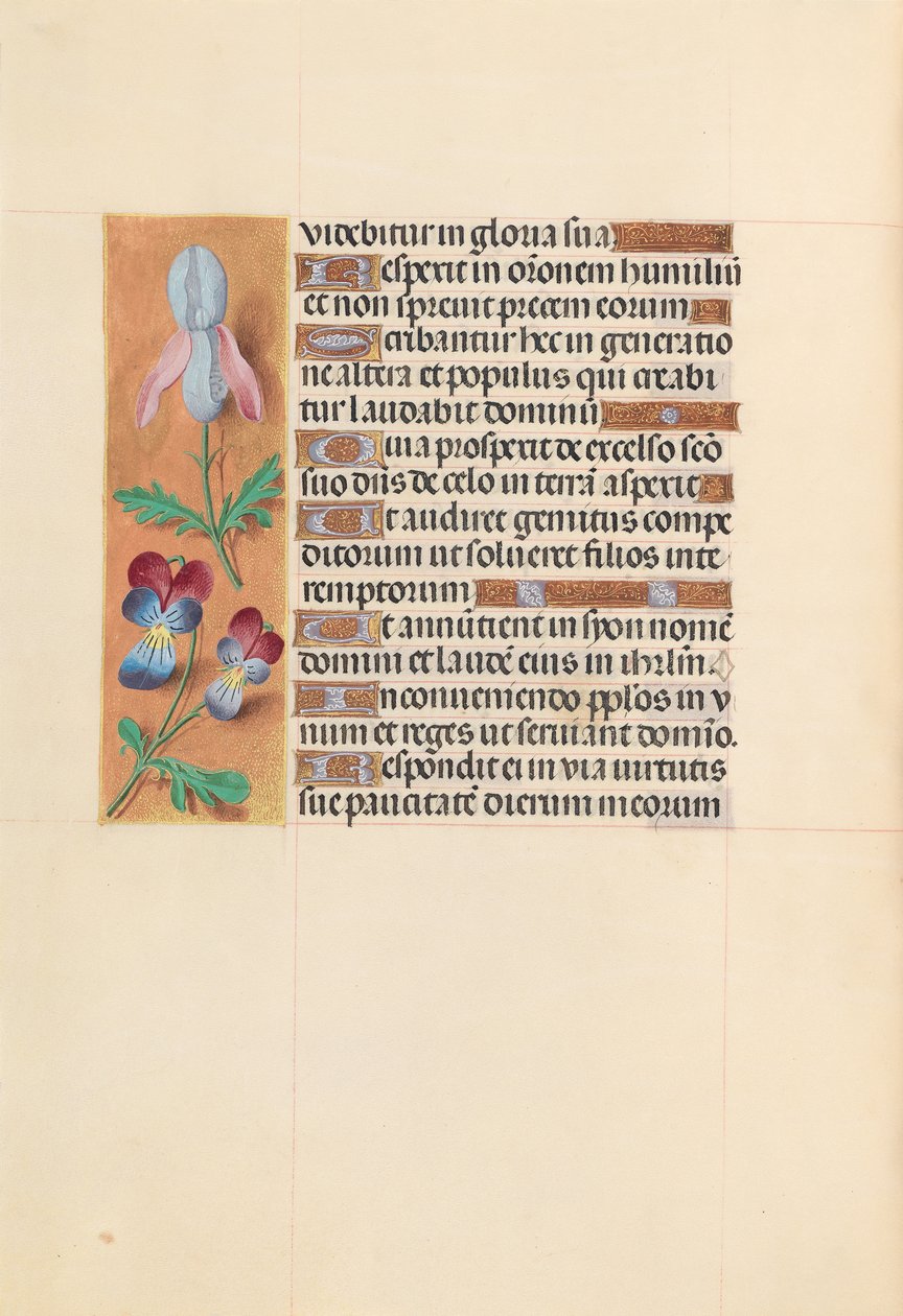Godziny królowej Izabeli Katolickiej, królowej Hiszpanii: Fol. 207v, ok. 1500. autorstwa Master of the First Prayerbook of Maximillian