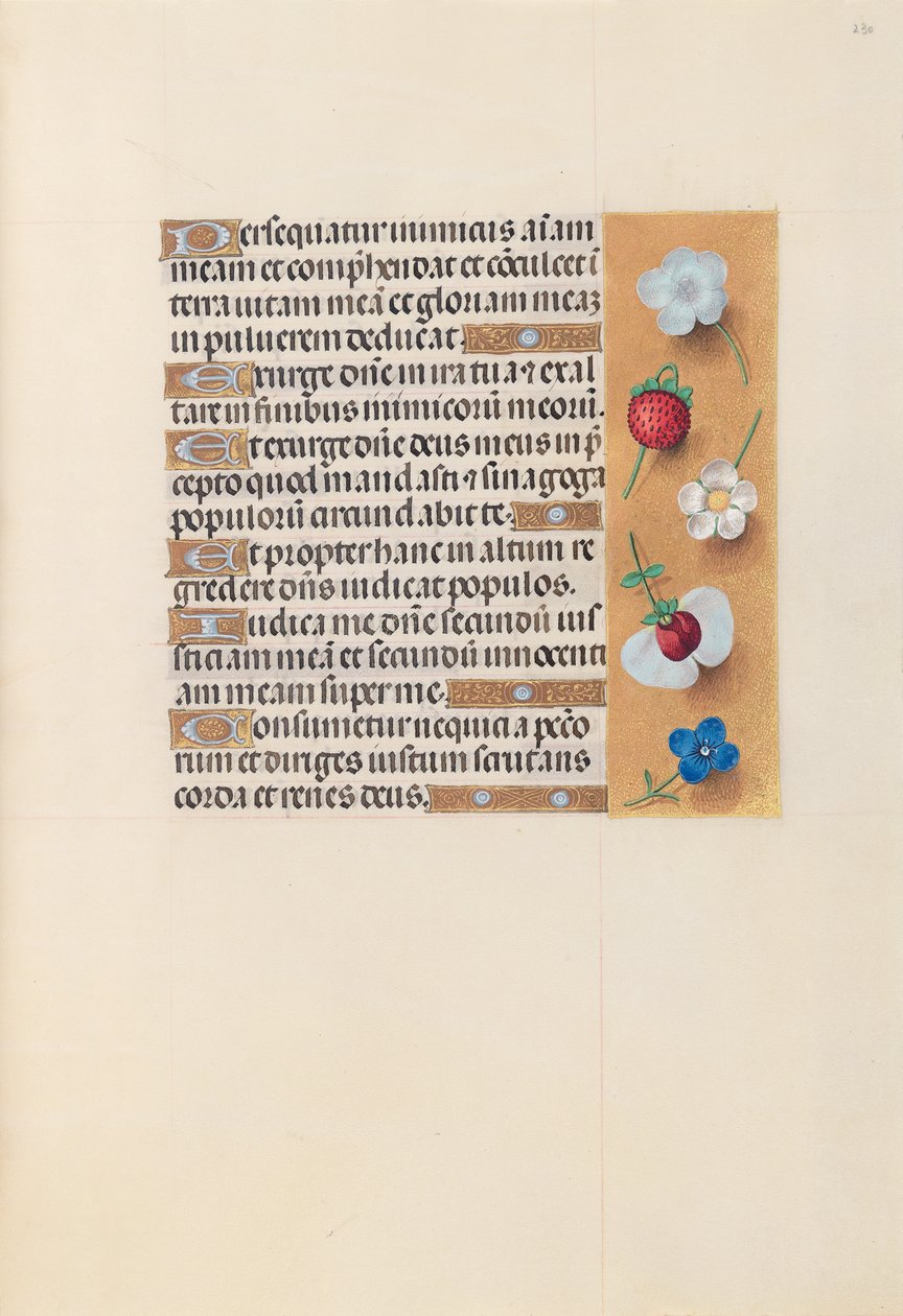 Godziny królowej Izabeli Katolickiej, królowej Hiszpanii: Fol. 230r, ok. 1500. autorstwa Master of the First Prayerbook of Maximillian