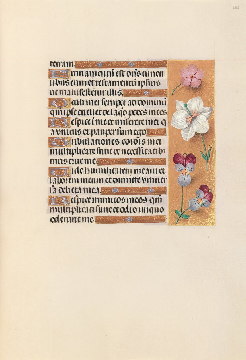 Godziny królowej Izabeli Katolickiej, królowej Hiszpanii: Fol. 235r, ok. 1500. autorstwa Master of the First Prayerbook of Maximillian