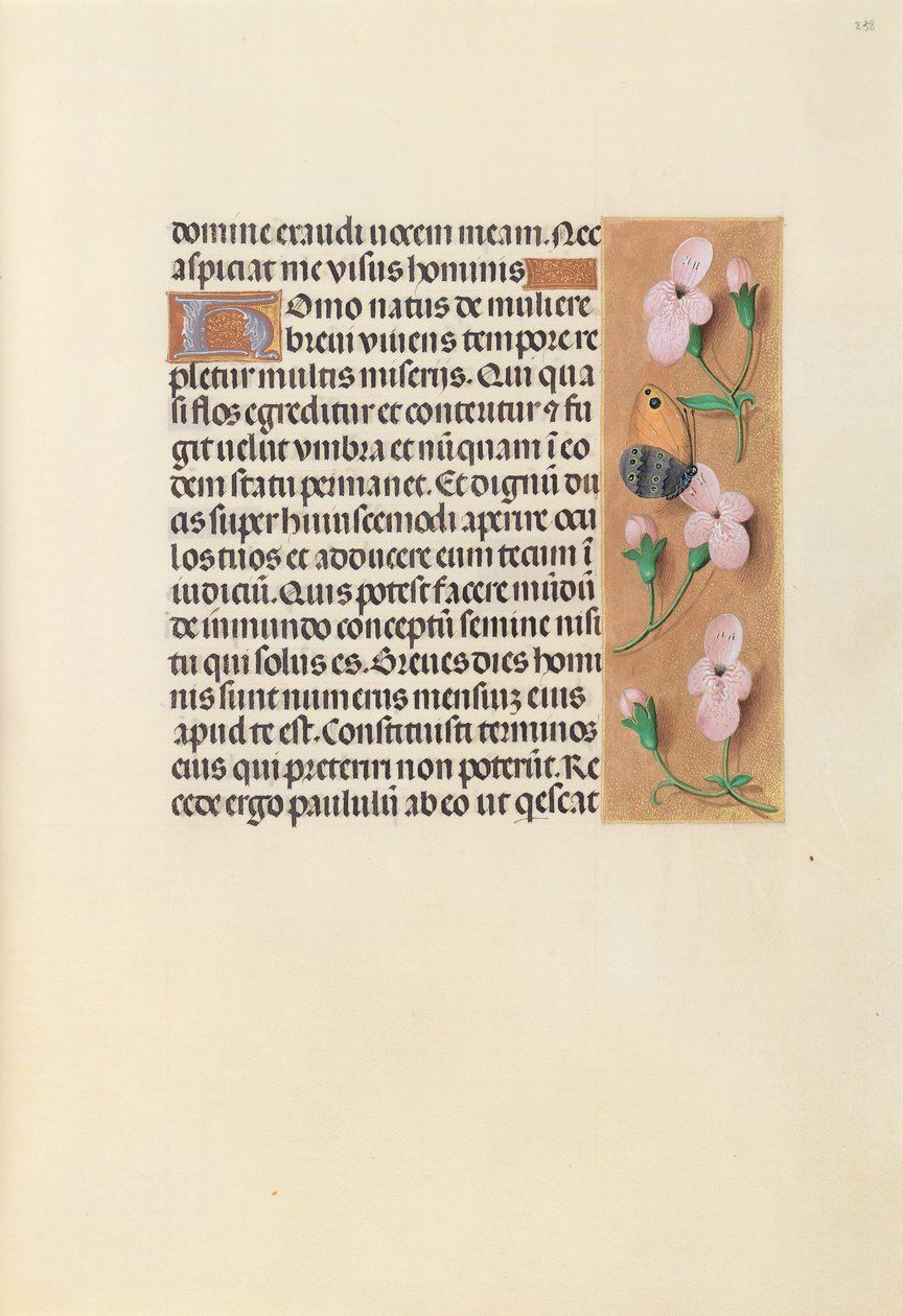 Godziny królowej Izabeli Katolickiej, królowej Hiszpanii: Fol. 238r, ok. 1500. autorstwa Master of the First Prayerbook of Maximillian