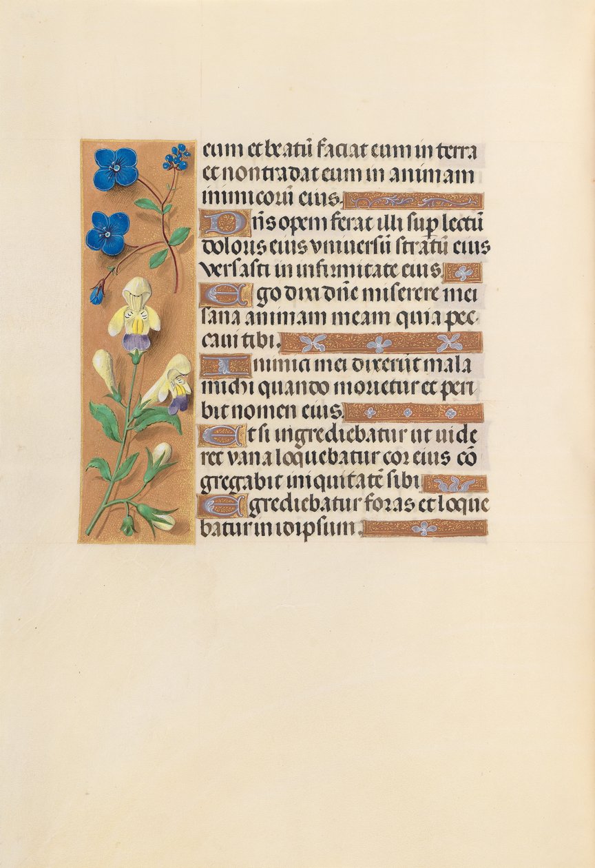 Godziny królowej Izabeli Katolickiej, królowej Hiszpanii: Fol. 241v, ok. 1500. autorstwa Master of the First Prayerbook of Maximillian