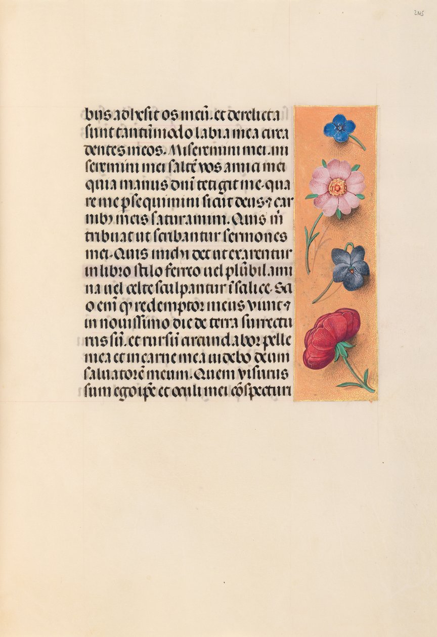Godziny królowej Izabeli Katolickiej, królowej Hiszpanii: Fol. 245r, ok. 1500. autorstwa Master of the First Prayerbook of Maximillian
