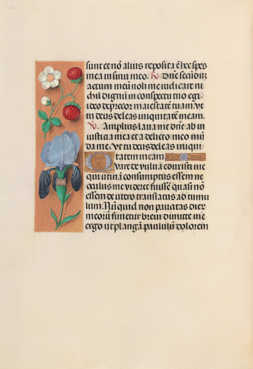 Godziny królowej Izabeli Katolickiej, królowej Hiszpanii: Fol. 245v, ok. 1500. autorstwa Master of the First Prayerbook of Maximillian