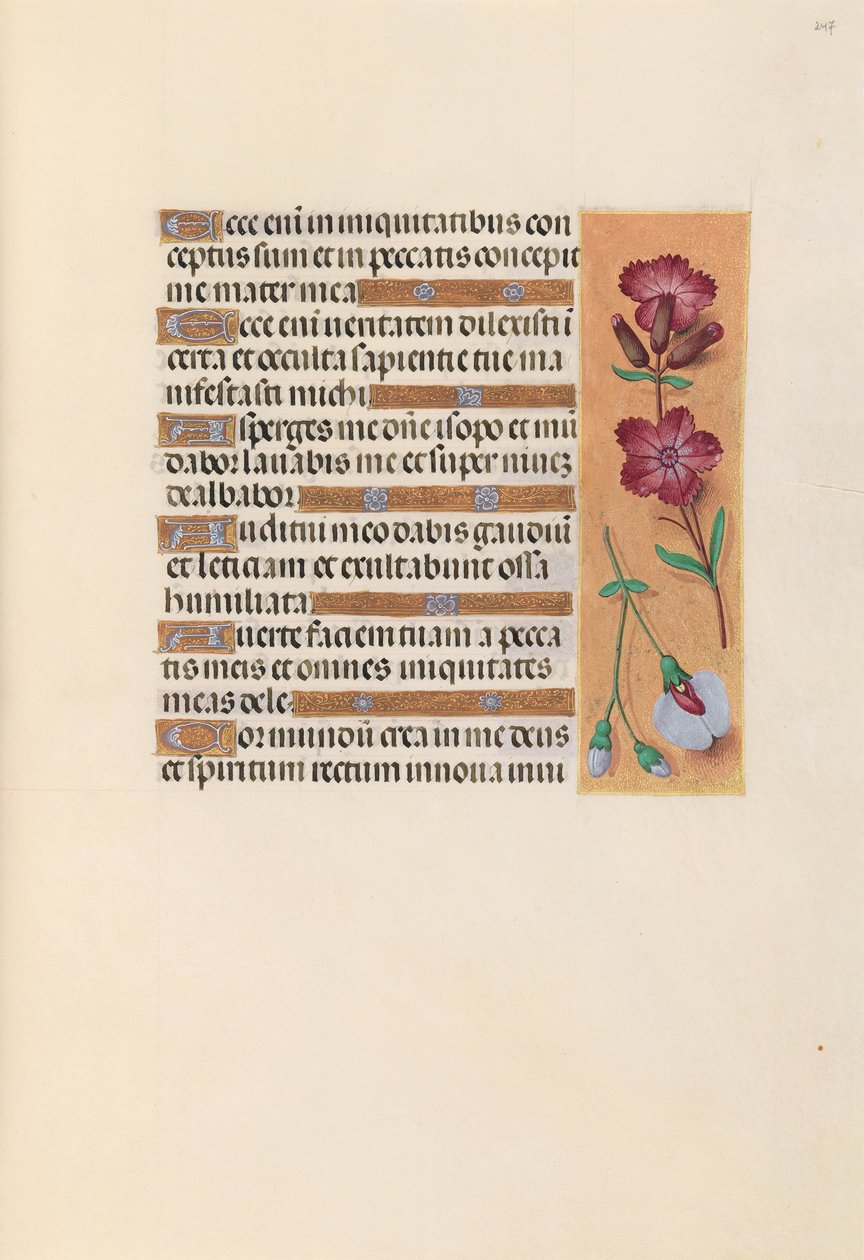 Godziny królowej Izabeli Katolickiej, królowej Hiszpanii: Fol. 247r, ok. 1500. autorstwa Master of the First Prayerbook of Maximillian