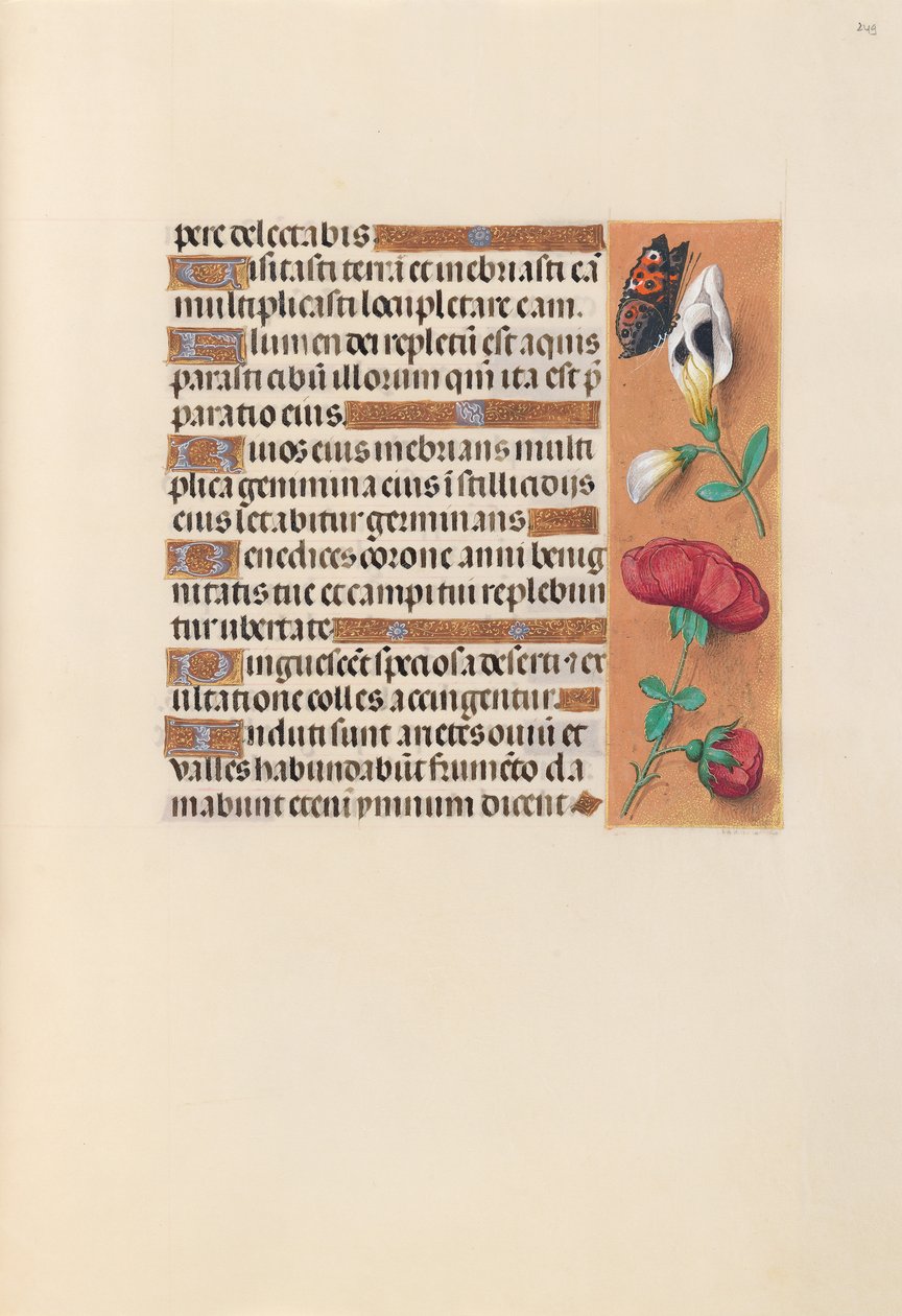 Godziny królowej Izabeli Katolickiej, królowej Hiszpanii: Fol. 249r, ok. 1500. autorstwa Master of the First Prayerbook of Maximillian